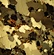 Binocular Polarizing Microscope